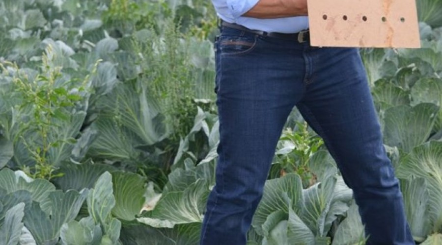 reintrodukcja kuropatw. Powiat Nowodworski (1)