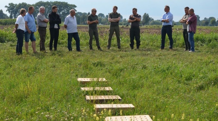 reintrodukcja kuropatw. Powiat Nowodworski (4)