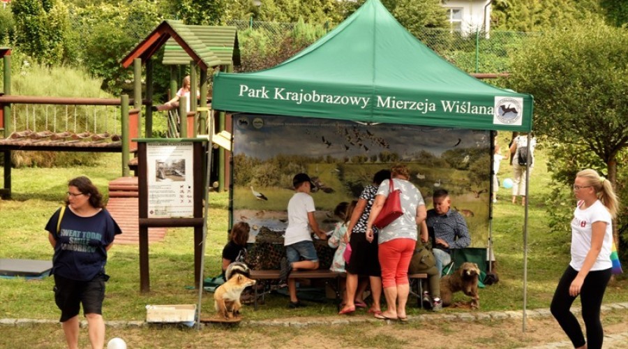 sztutowo pozytywnie zakręconych (3)