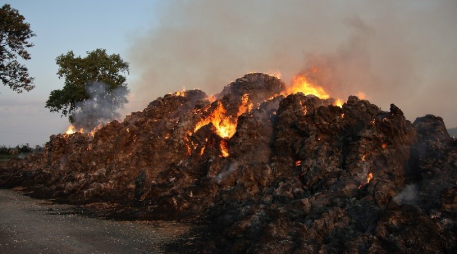 fot.Krzysztof Firko pożar sterty słomy (11)