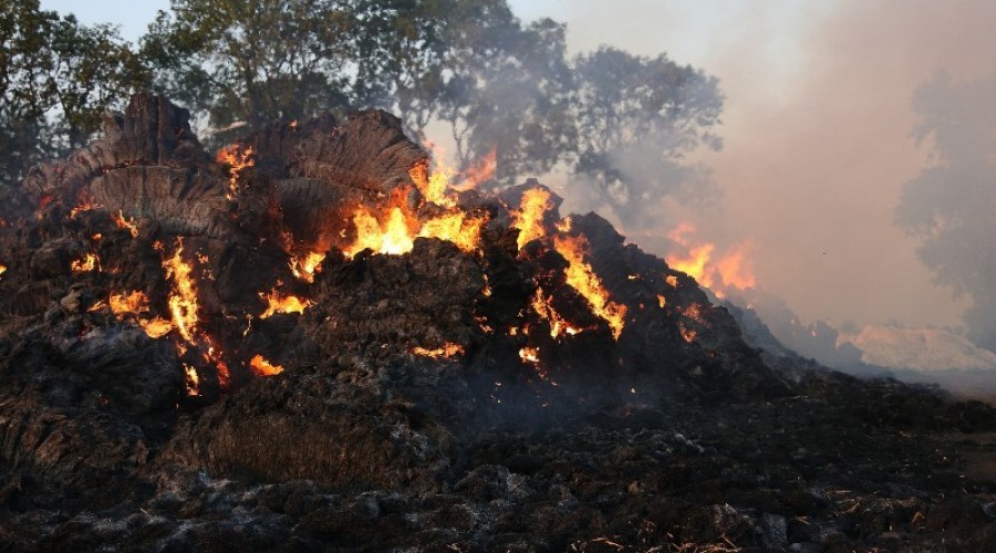 fot.Krzysztof Firko pożar sterty słomy (14)