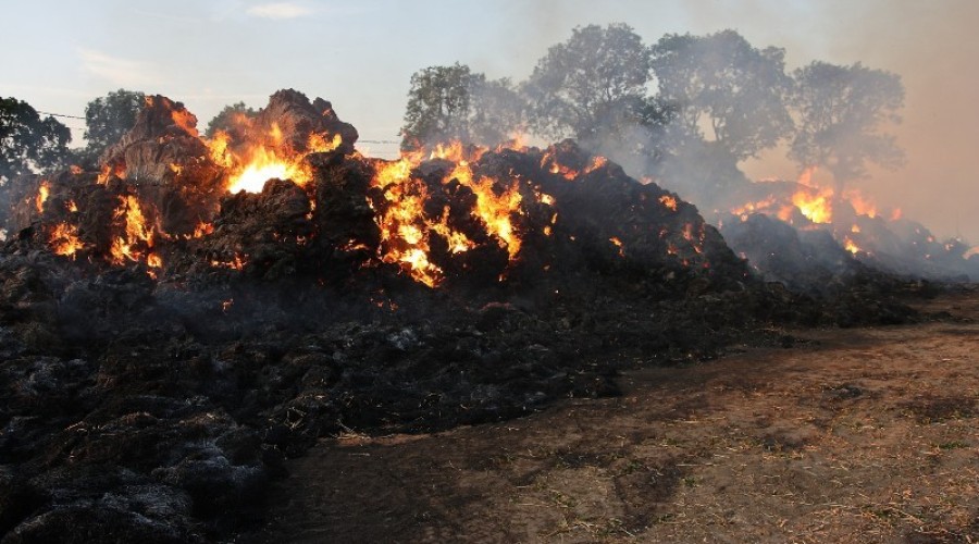 fot.Krzysztof Firko pożar sterty słomy (19)