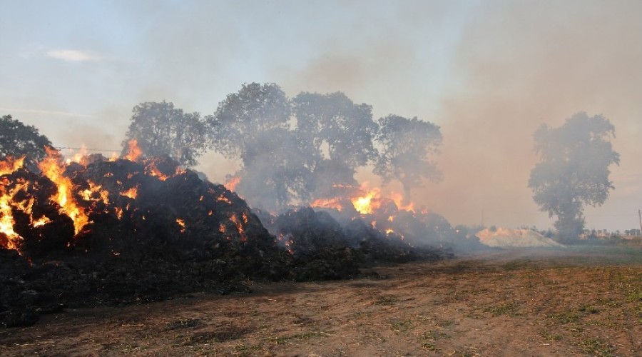 fot.Krzysztof Firko pożar sterty słomy (21)
