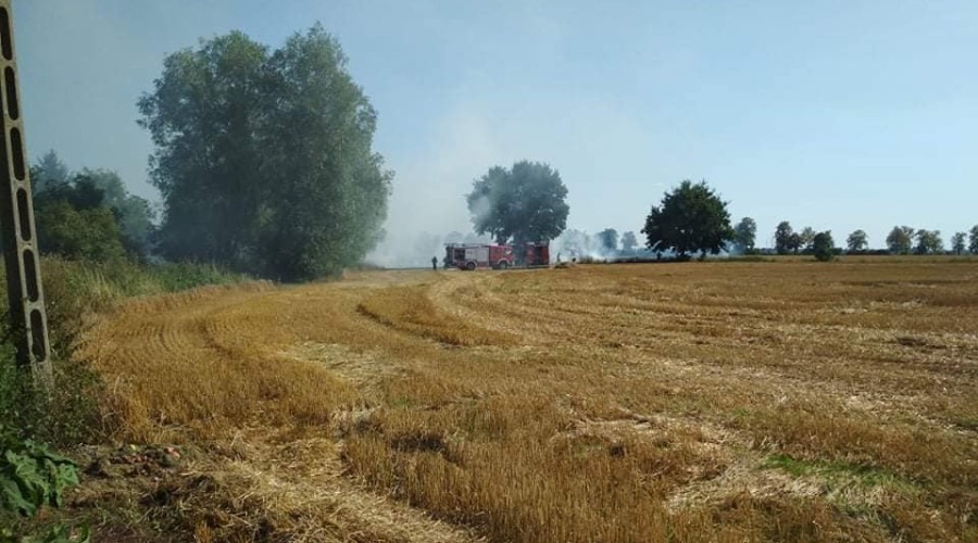 fot osp nowy dwór gd pożar orłówko