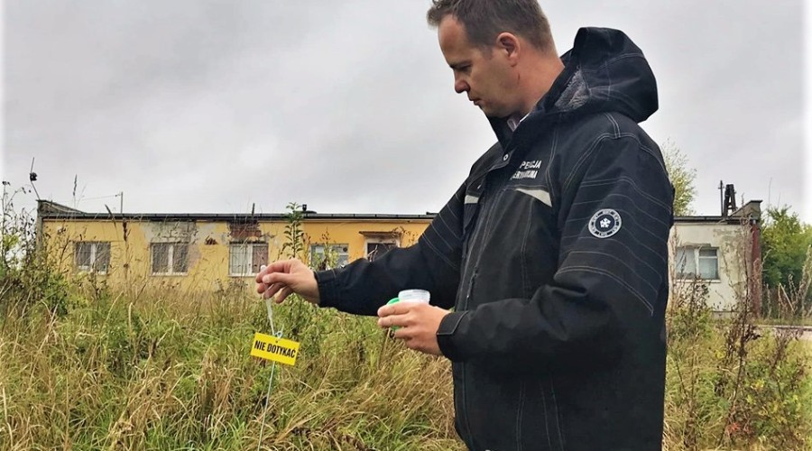 asf repelenty zapachowe