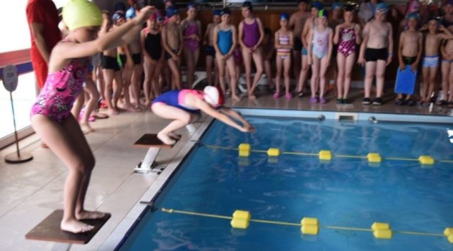 Międzyszkolne zawody pływackie stegna (30)