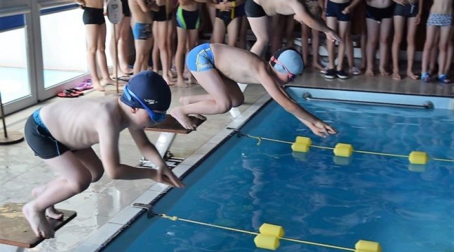Międzyszkolne zawody pływackie stegna (7)