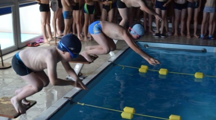 Międzyszkolne zawody pływackie stegna (8)