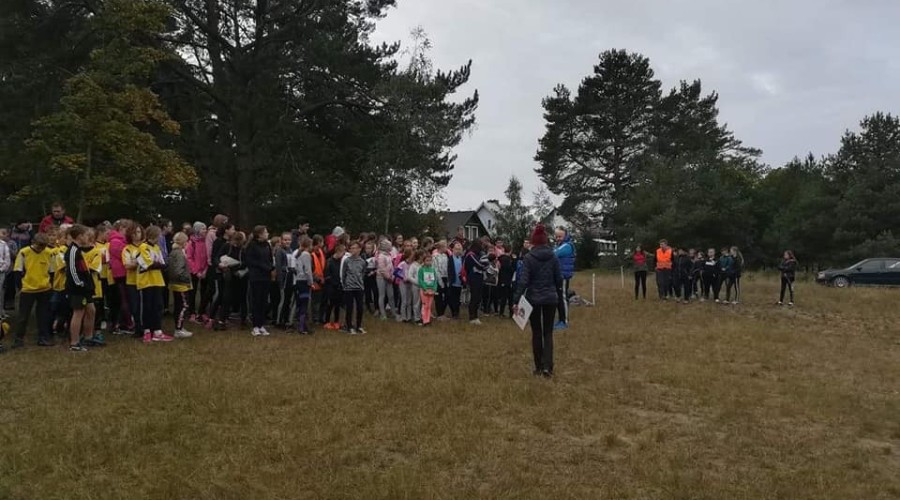 mistrzostwa powiatu w biegach przełajowych stegna (8)