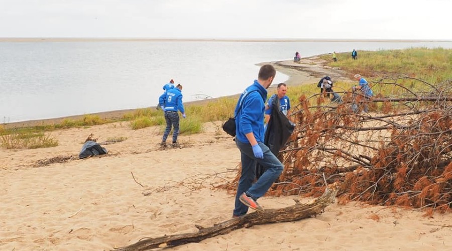 sprzątanie mewia łacha (1)