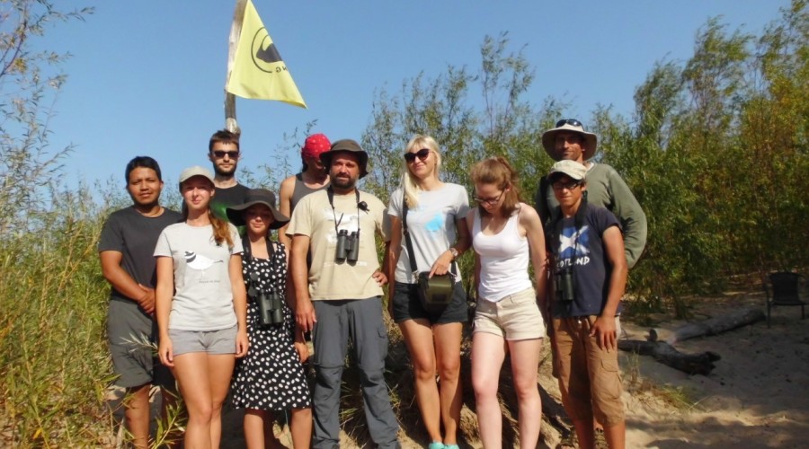 ujście wisły wwf polska (1)