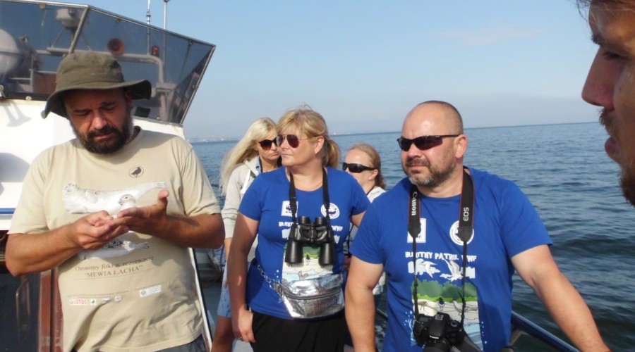 ujście wisły wwf polska (3)