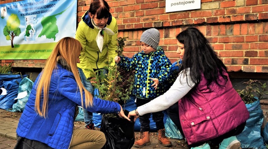 akcja drzewko za butelkę starostwo (13)