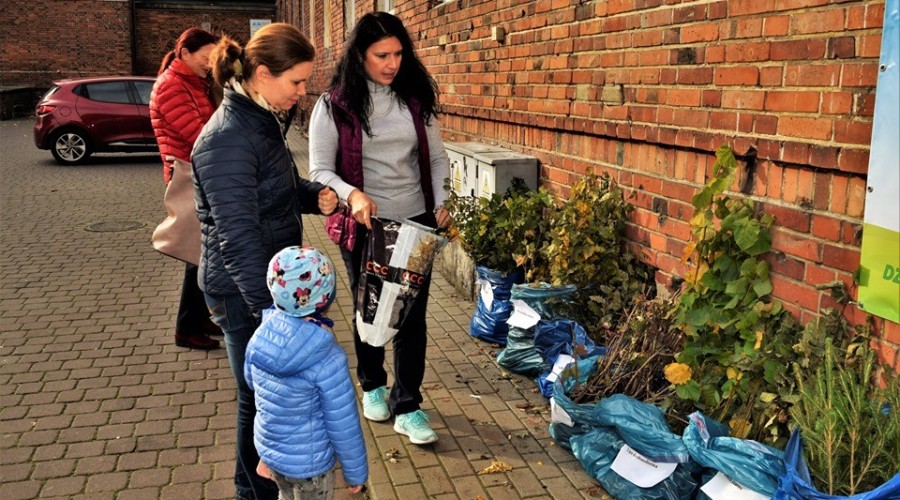 akcja drzewko za butelkę starostwo (18)