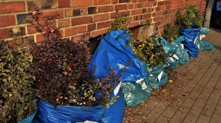 akcja drzewko za butelkę starostwo (22)