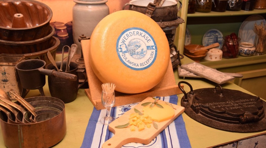 Ambasador Królestwa Niderlandów z wizytą w Żuławskim Parku Historycznym (3)