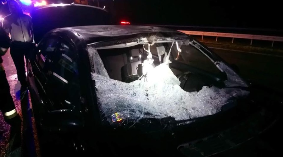 wypadek łosie s7 (1)