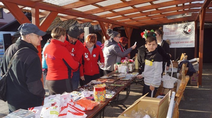 V kąpiel morsów w Kątach Rybackich. Sportowy weekend w Gminie Sztutowo (28)