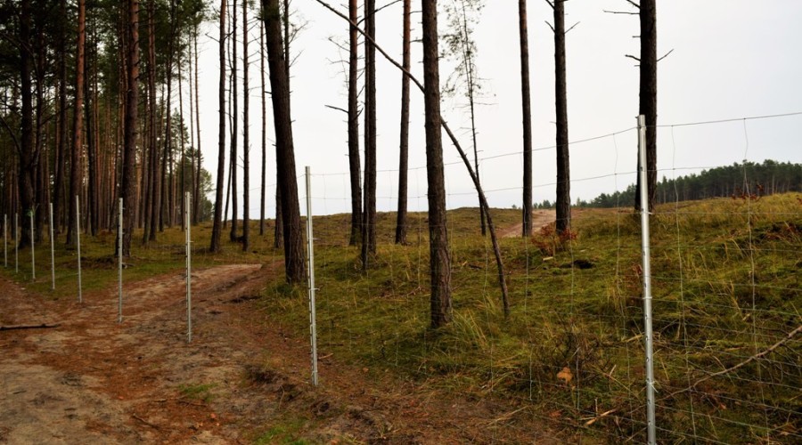 przekop mierzei wislanej (15)