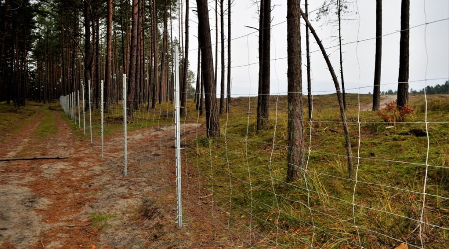 przekop mierzei wislanej (16)