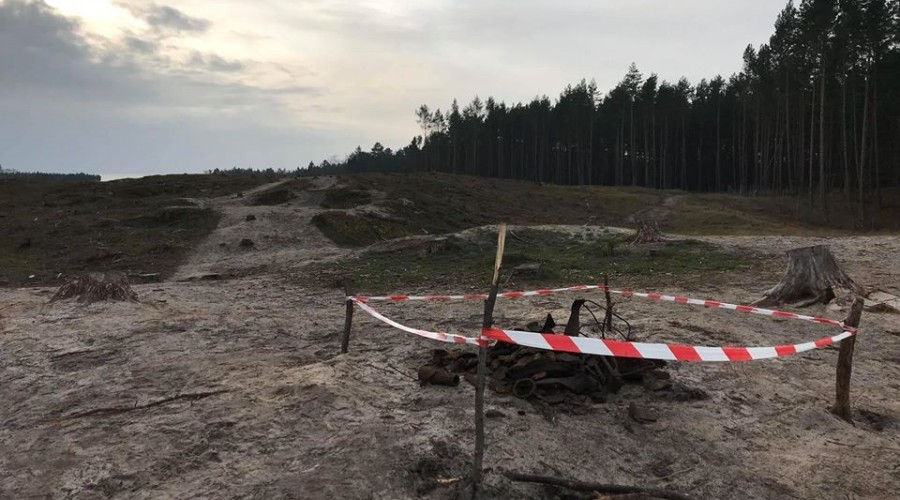 78316279_10214801455014733_424970134717726720_o