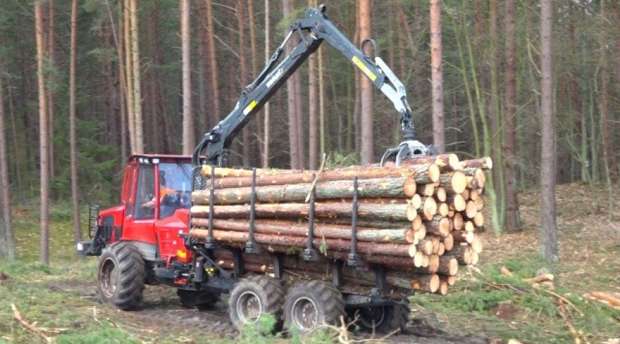 przekop mierzei wiślanej  (31)