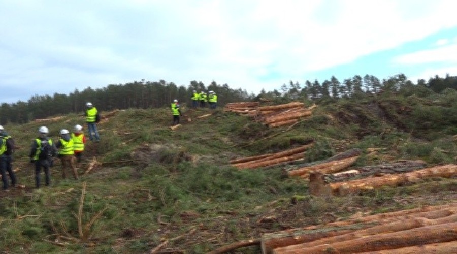 przekop mierzei wiślanej  (39)