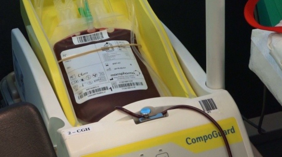 sztutowo ultrakrew (6)