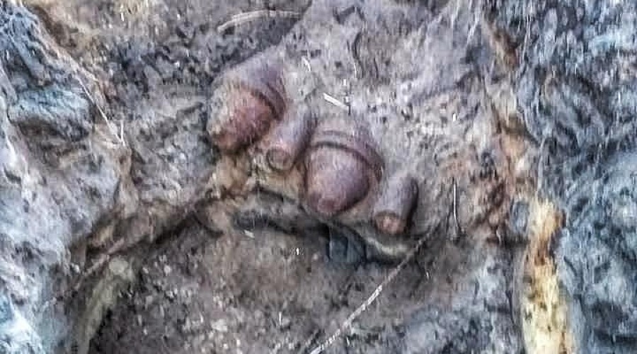 niewybuchy mierzeja wiślana (3)