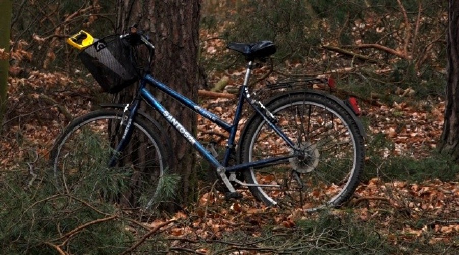 ścieżki rowerowe gmina stegna (18)