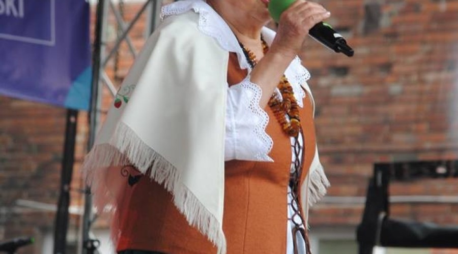 dni-miasta-nowego-dworu-gdańskiego-13