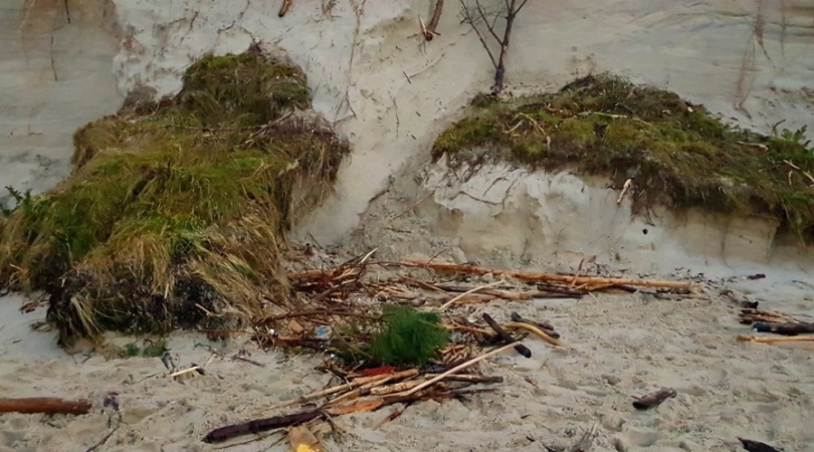 Mierzeja Wiślana. Ogromne zniszczenia wydm i plaż (10)