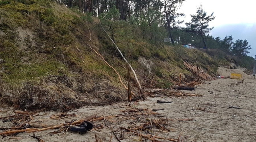 Mierzeja Wiślana. Ogromne zniszczenia wydm i plaż (15)