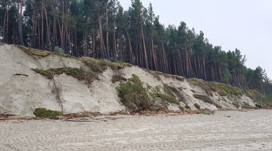 Mierzeja Wiślana. Ogromne zniszczenia wydm i plaż (6)