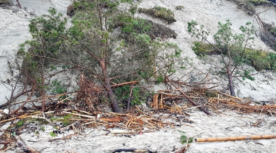 Mierzeja Wiślana. Ogromne zniszczenia wydm i plaż (7)