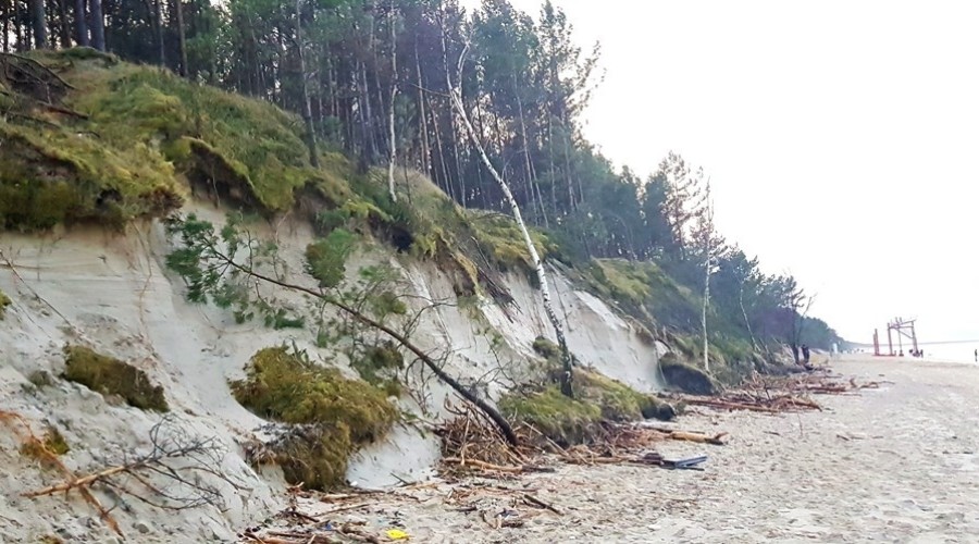 Mierzeja Wiślana. Ogromne zniszczenia wydm i plaż (8)