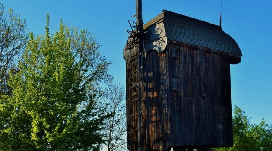 drewnica wiatrak (1)