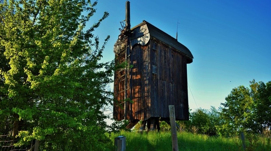 drewnica wiatrak (3)