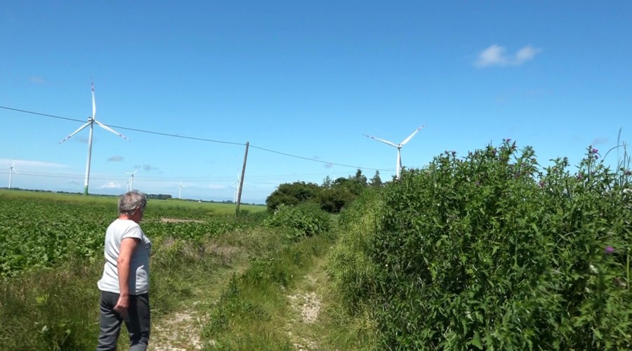 Interwencja w sprawie pani Lidii.I Nowy Dwór Gdański (2)