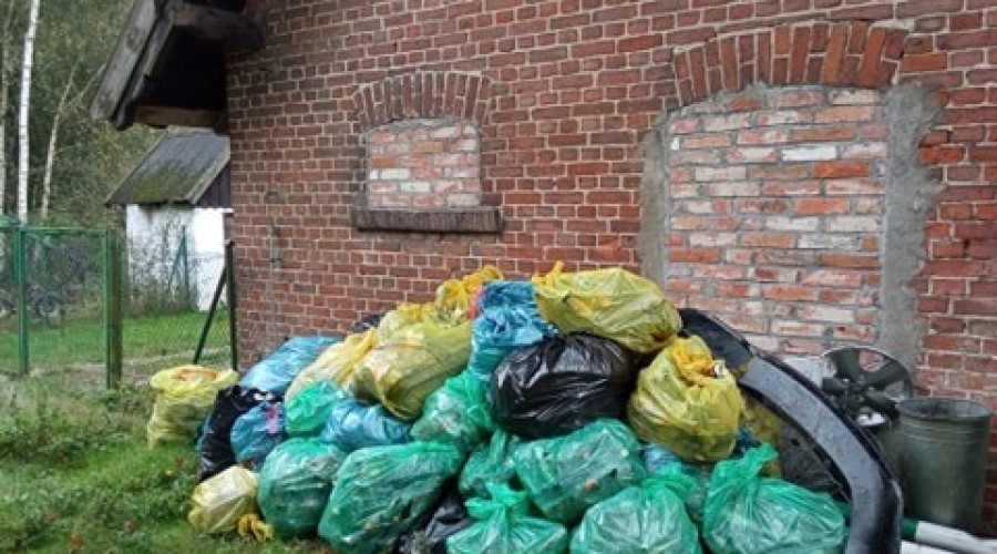 akcja sprzatania jantar (6)