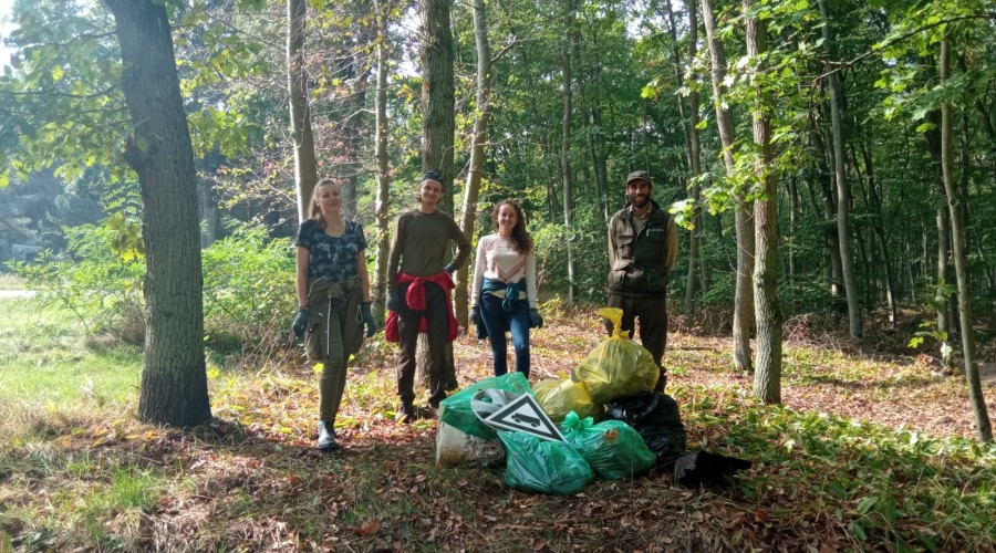 akcja sprzatania jantar (7)