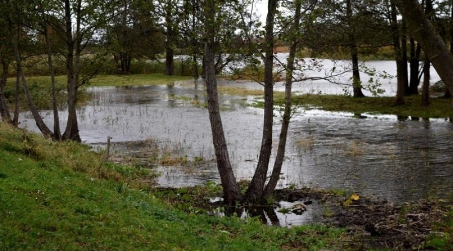 żuławy, cofka, sztorm (3)