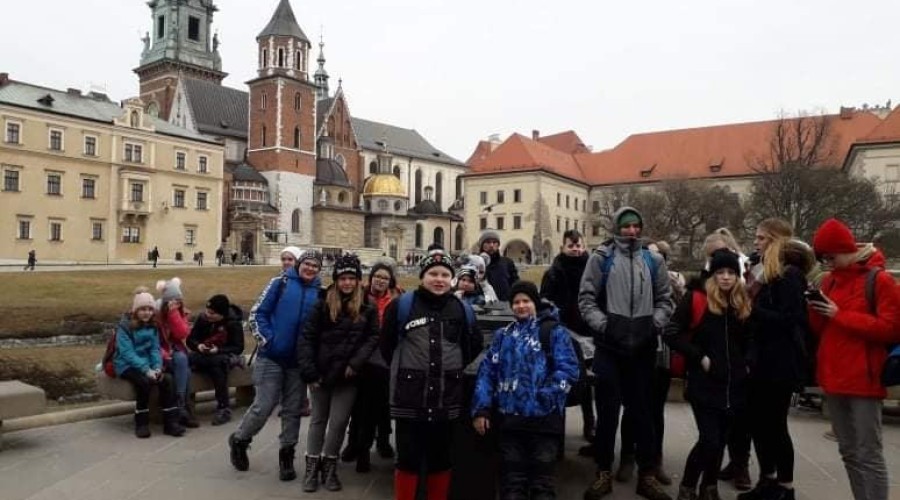 52812888_653487618441415_6965461906341494784_n