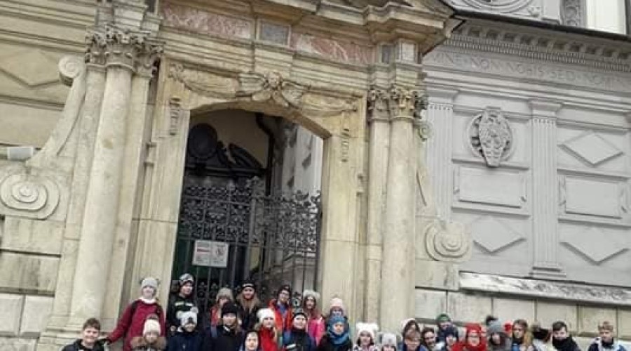 53071321_653487338441443_4363611627988189184_n