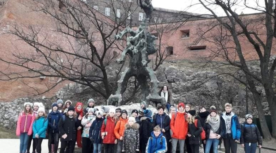 53110473_653487521774758_49841772620152832_n