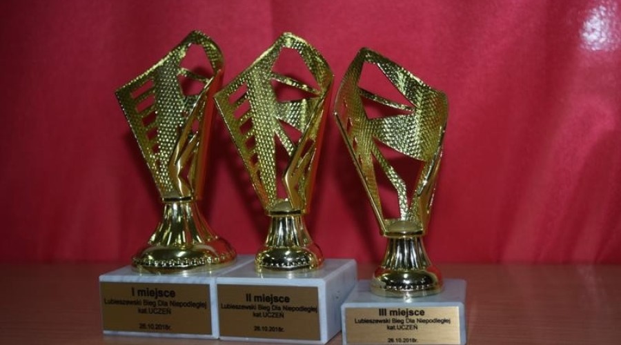 lubieszewski-bieg-dla-niepodległej001108