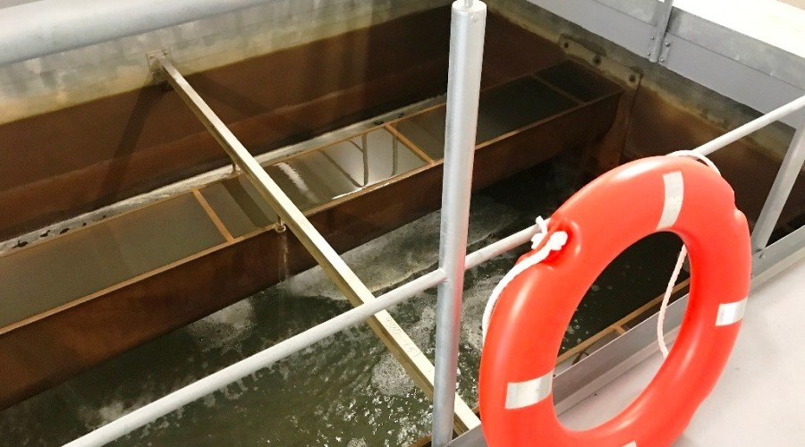 cwż nowa stacja (31)