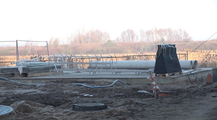 cwż styczeń 202021