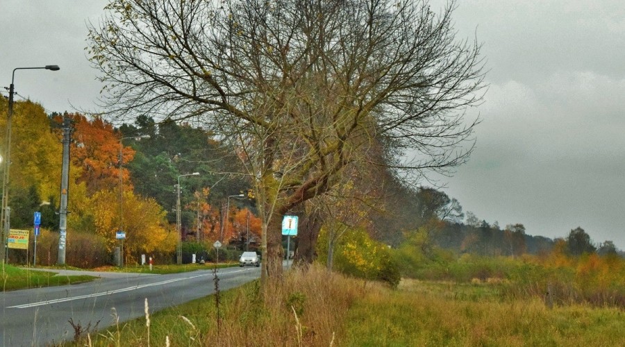 ścieżka rowerowa stegna 1