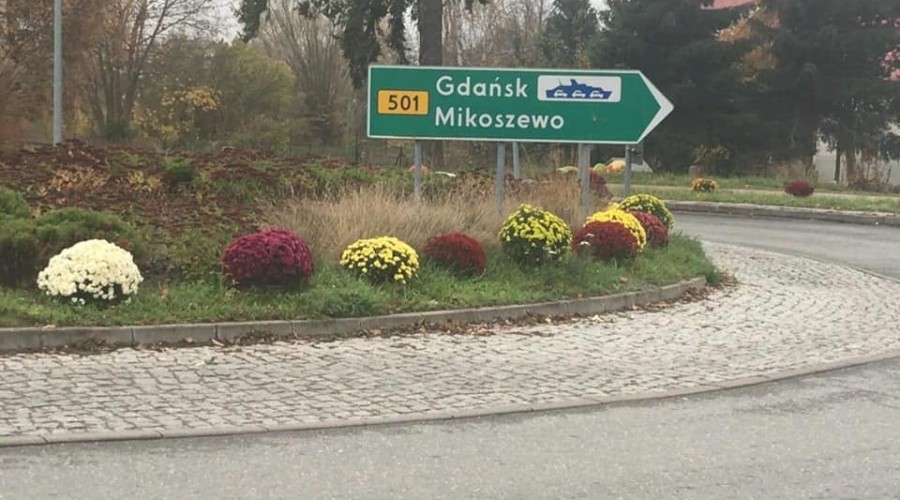 stegna nowe kwiaty (2)